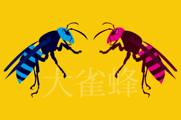 オオスズメバチを二匹、向かい合わせに並べたイラスト。左側の蜂は水色、右側の蜂はピンク色と、実際と異なった色付けでビビッとさを表現。