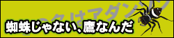 蜘蛛じゃない、鷹なんだ