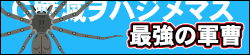 最強の軍曹
