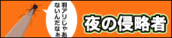 夜の侵略者